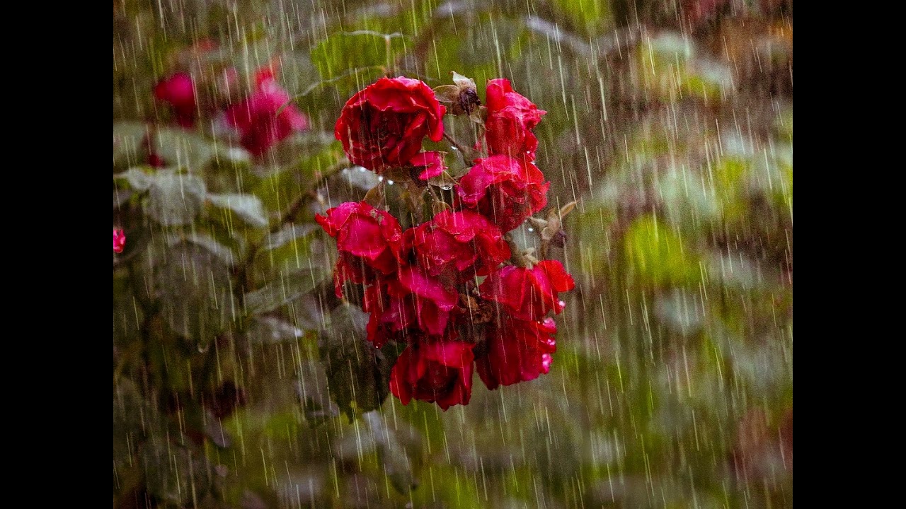 It's a mystery to them how you got out of this emotional storm