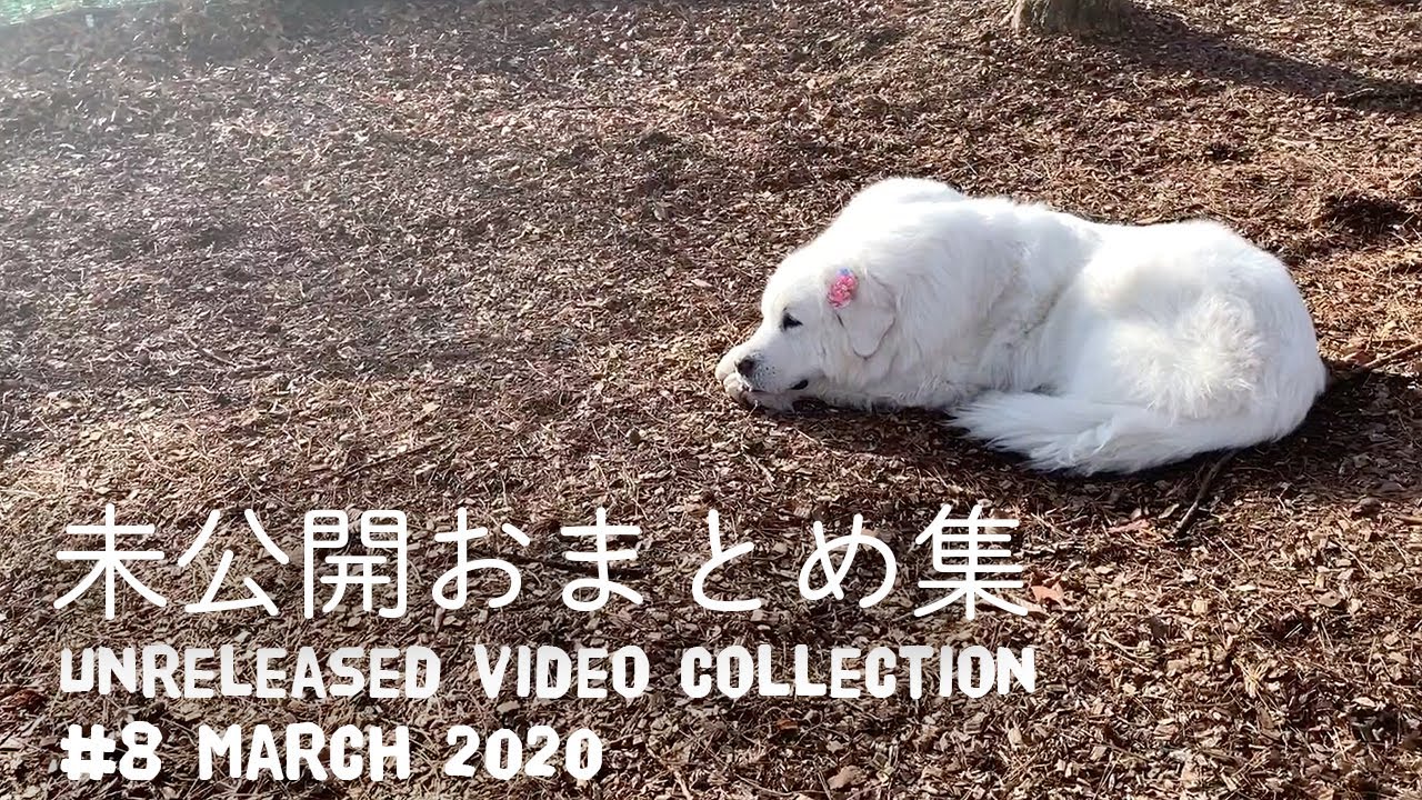 【ルンルンの裏庭】未公開おまとめ集 #8　2020年3月