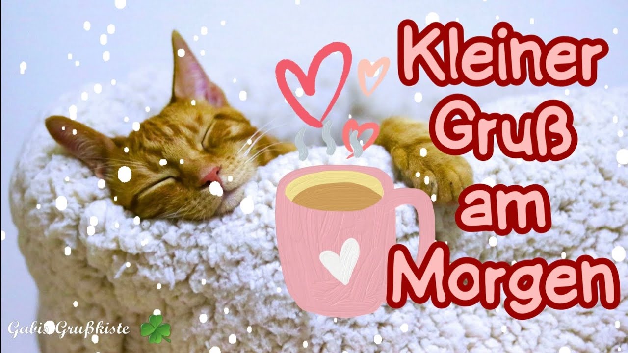 Winterliche Grüße am Morgen🥰❄️ mit kuscheliger Katze✨️ Gruß zum Senden whatsapp 