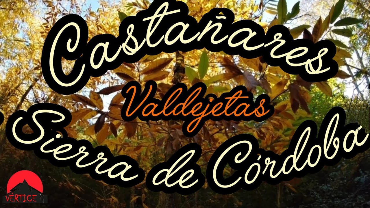Ruta por los castañares de Valdejetas 