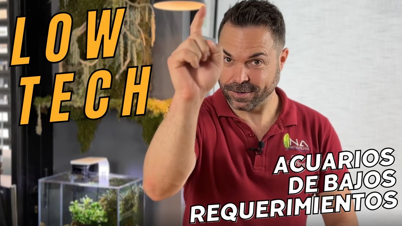 🥇 Acuarios Low-Tech de bajos requerimientos | Equipamiento y abonado