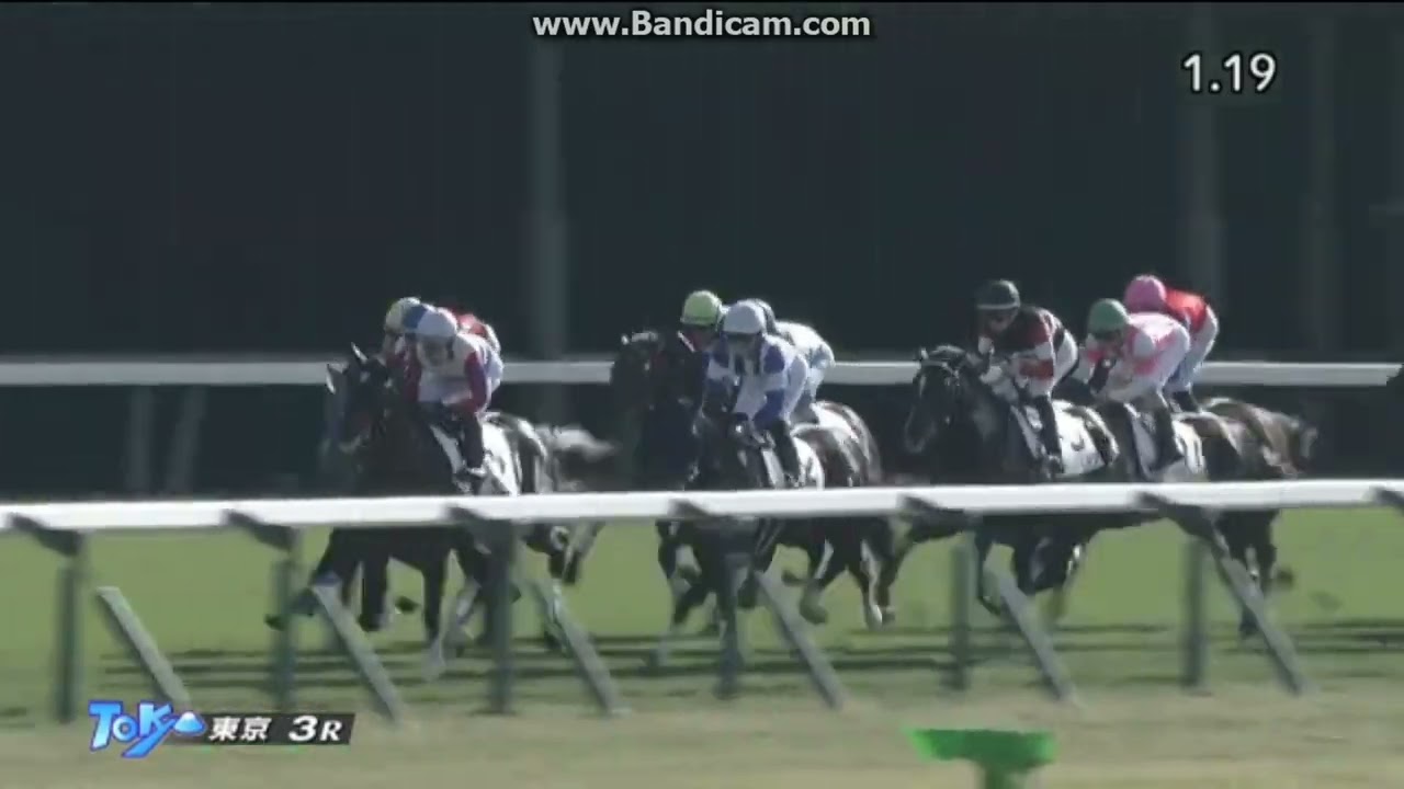 エムズビギン　2歳未勝利