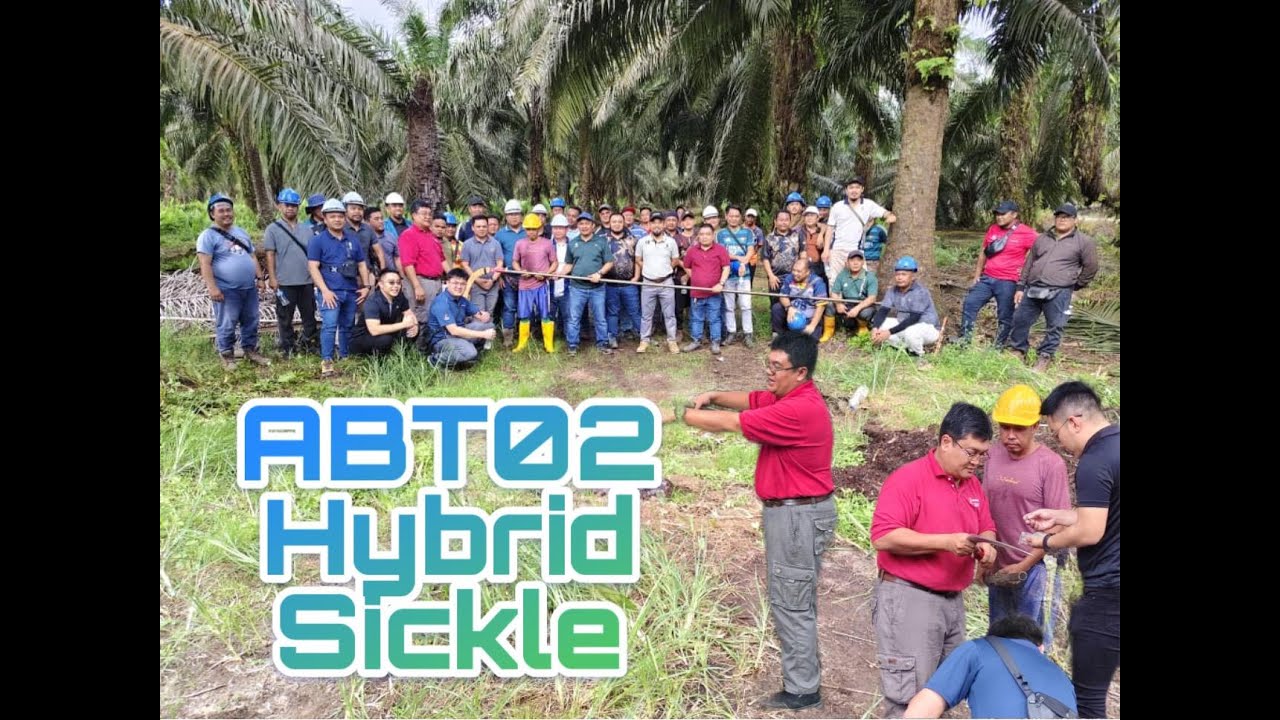 Sabit Baru Untuk Panen Buah Sawit | Tajam Seperti Samurai