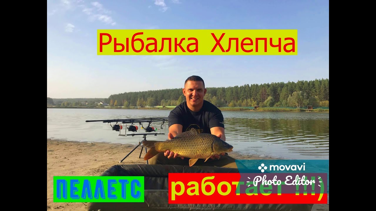 Ловля карпа в селе Хлепча,отдых и рыбалка под киевом, без рыбы трудно уехать!!!