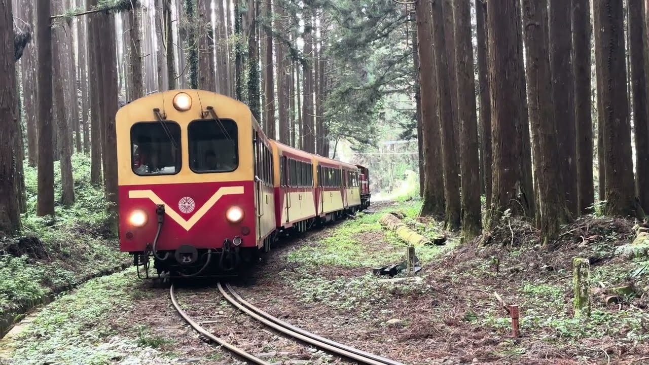 【Alishan Forest Railway】Train No. 5 Alishan Express Passed The 68K+200, 762mm(2 ft 6 in)