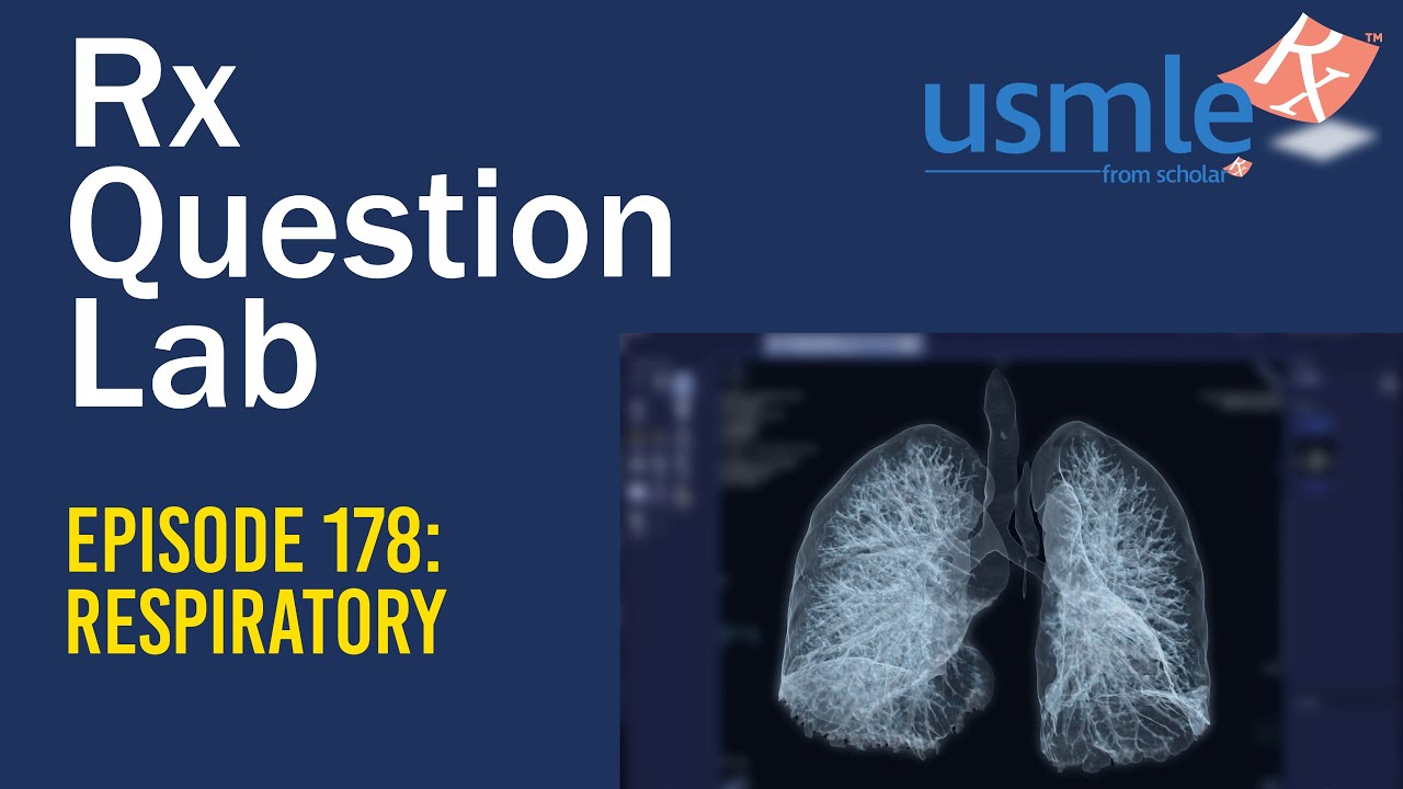 Question Lab Episode 178: Respiratory System