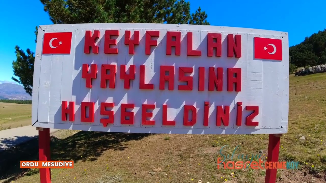 ORDU MESUDİYE