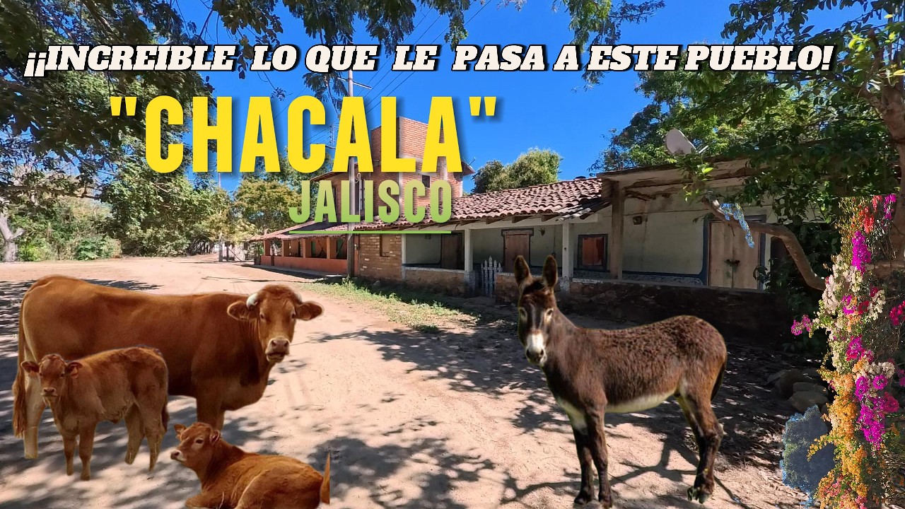 Increíble lo que le pasa a este lugar!