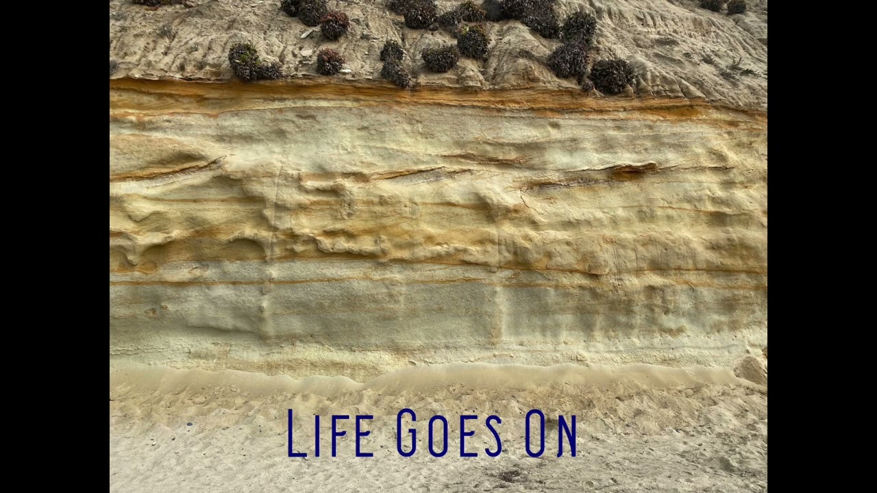 Life Goes On