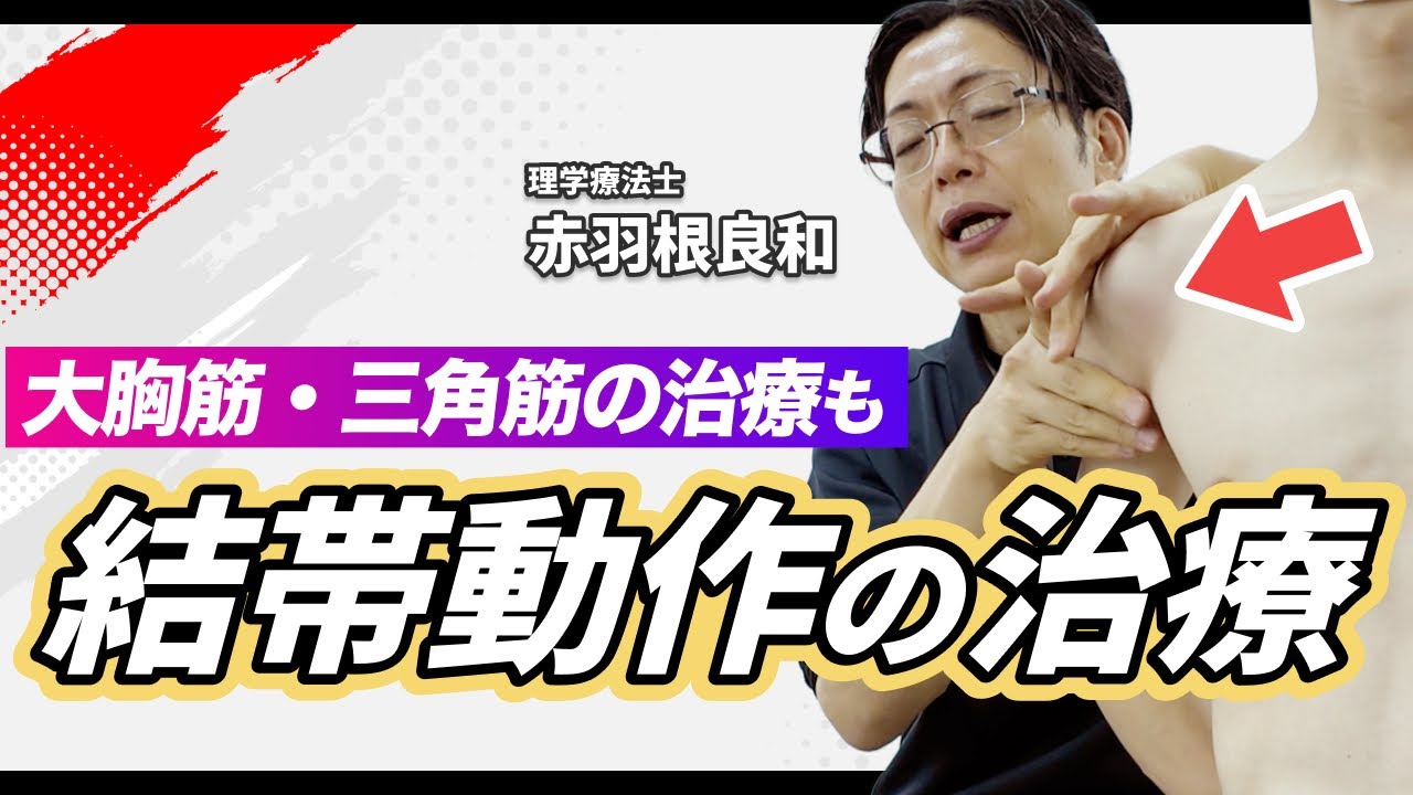 【有料級】肩関節の結帯の治療！大胸筋・三角筋の治療など