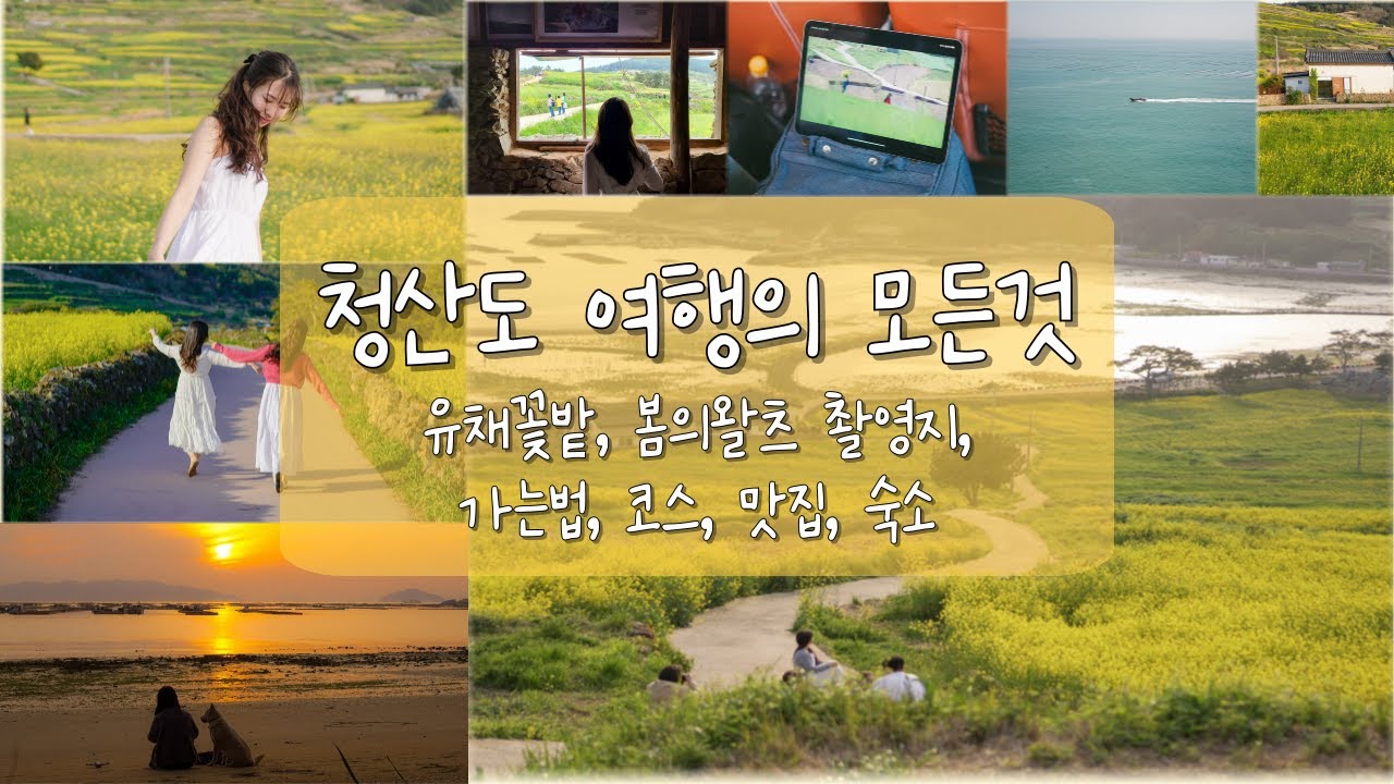 청산도여행의 모든것, 가볼만한곳, 봄의왈츠 촬영지, 코스, 맛집, 숙소, 유채꽃밭