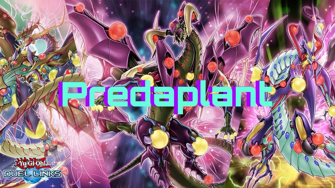 Yugioh Duellinks predaplant P.227 สุดโหด สุดอันตราย