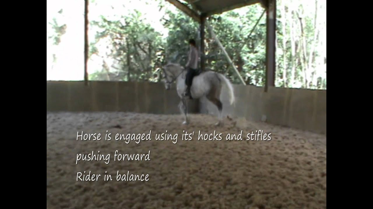 WOW Saddles - The Korrector Pad: How To Use