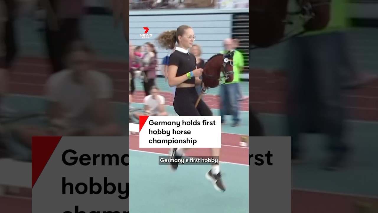 Germany holds first hobby horse championship