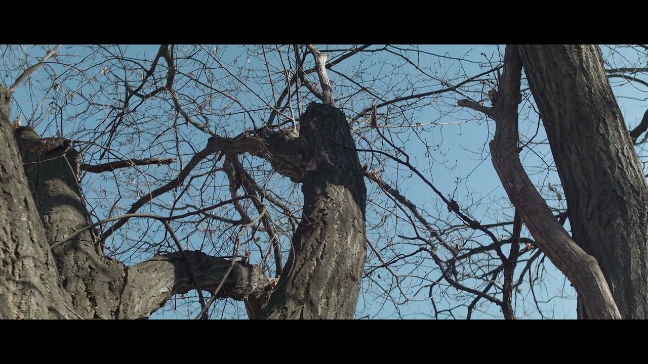 Bmpcc original 23.976fps  | SIRUI 24mm F2.8 1.33x M4/3 | Anamorphic Lens | 4K (Ansan Korea, 안산 선부동)