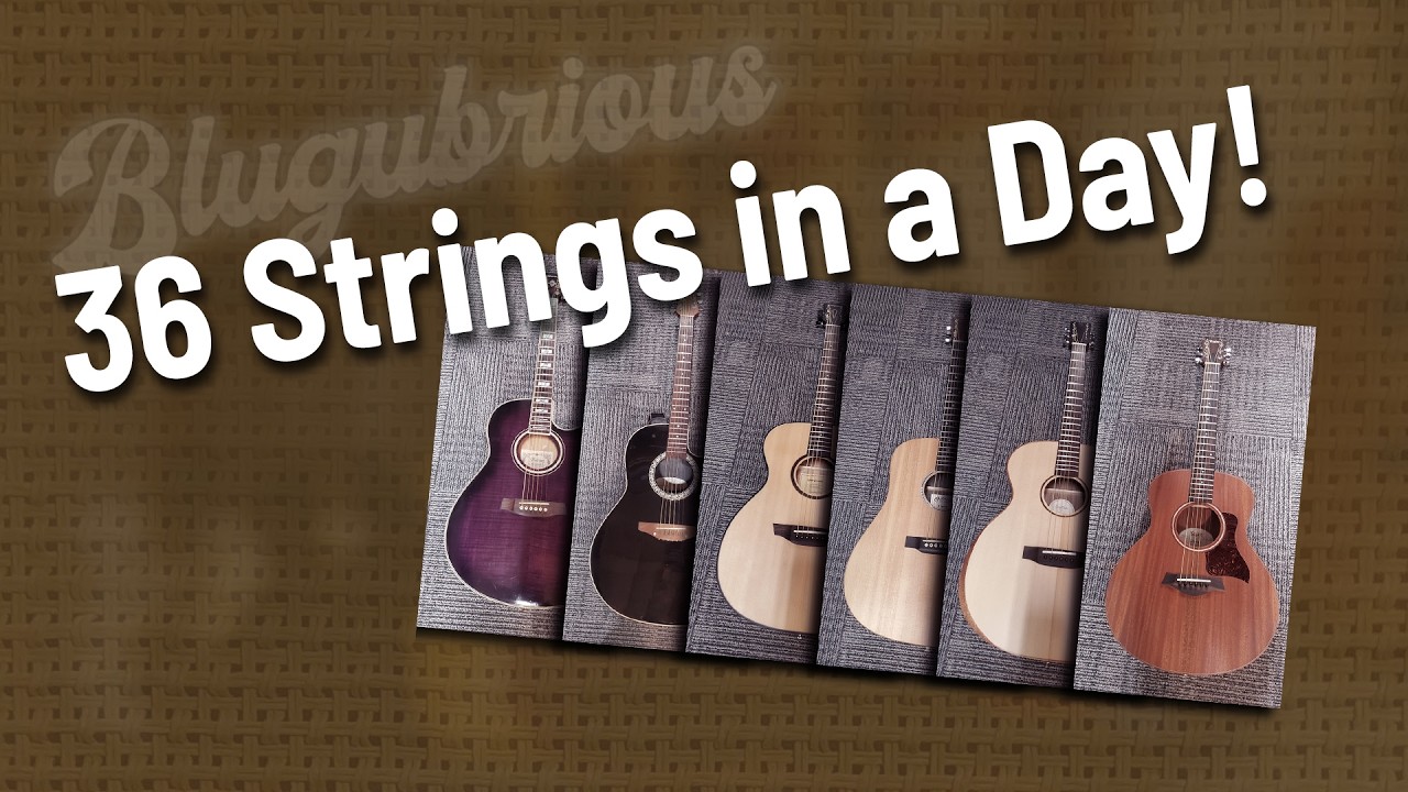 36 New Acoustic Strings in a Day! (Martin, Harley Benton, Taylor, Orangewood, Ovation, Ibanez)