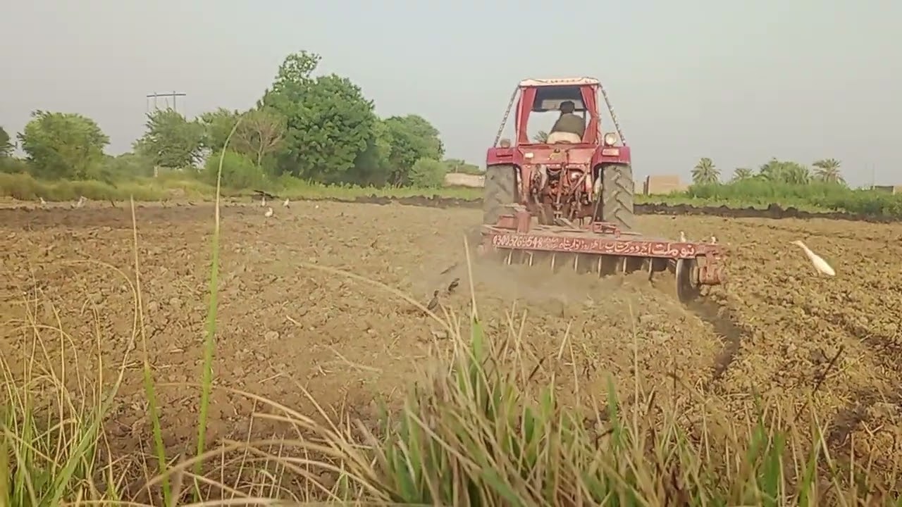 TPAKISTAN kissan