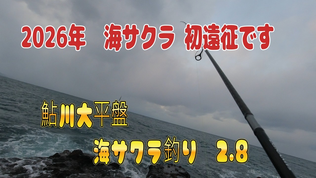 2月８日　鮎川大平盤→瀬棚風車下に海サクラ釣りに行って来ました。