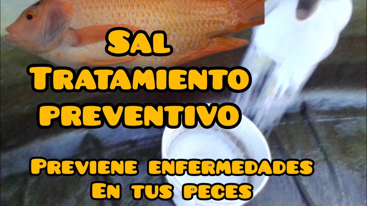 LA SAL, potente remedio contra enfermedades en peces.