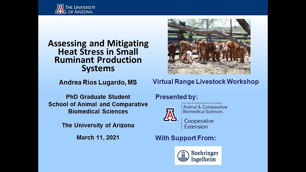 Assessing and Mitigating Heat Stress in Small Ruminant Production Systems