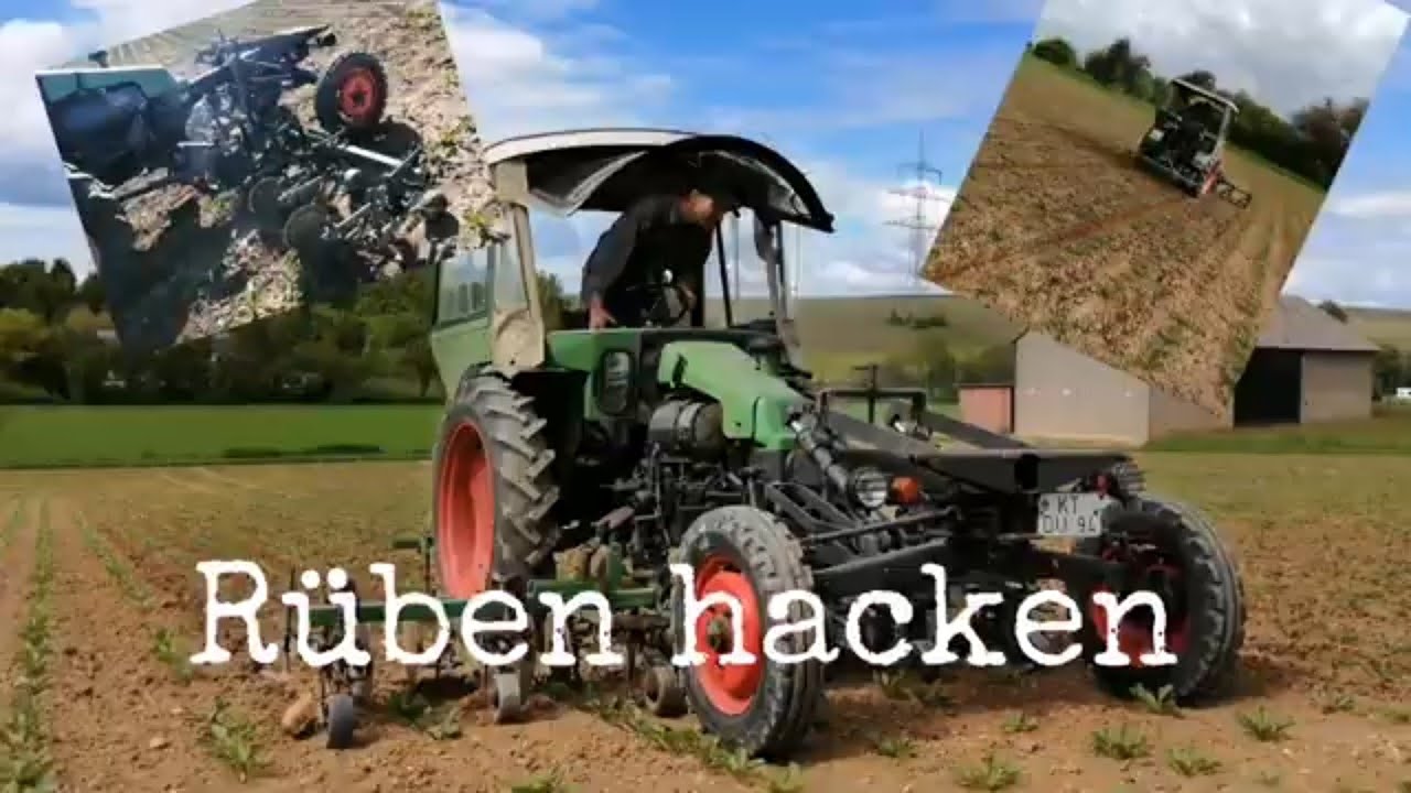 Rüben hacken mit FENDT Gt 231😍