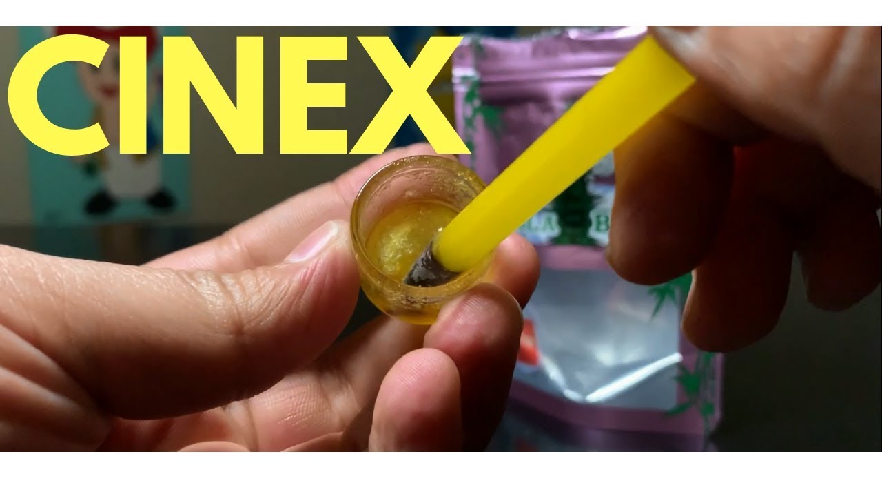Cinex By Kola Bear