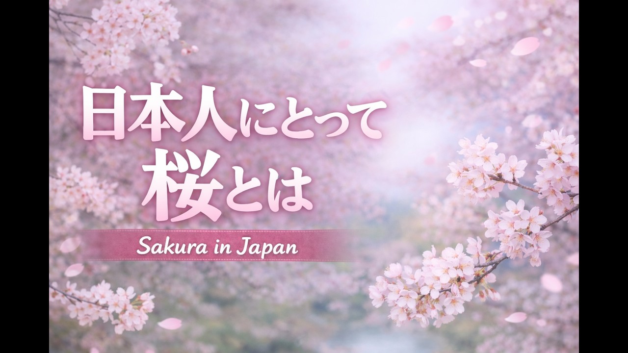 #039　日本人にとって桜とは｜別れと出会いの花　What Sakura Means to Japanese People | Cherry Blossoms in Japan