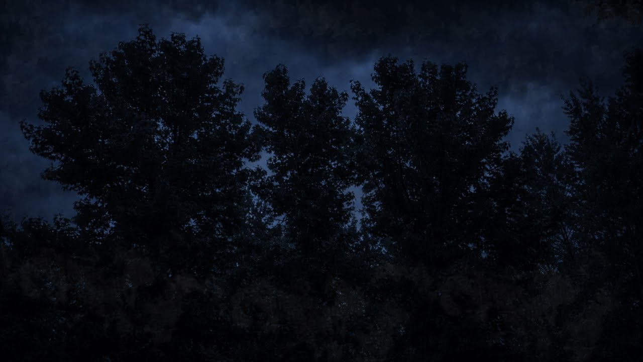 Fall Asleep to Calm Dark Ambience 🌑 | Deep Sleep Sounds