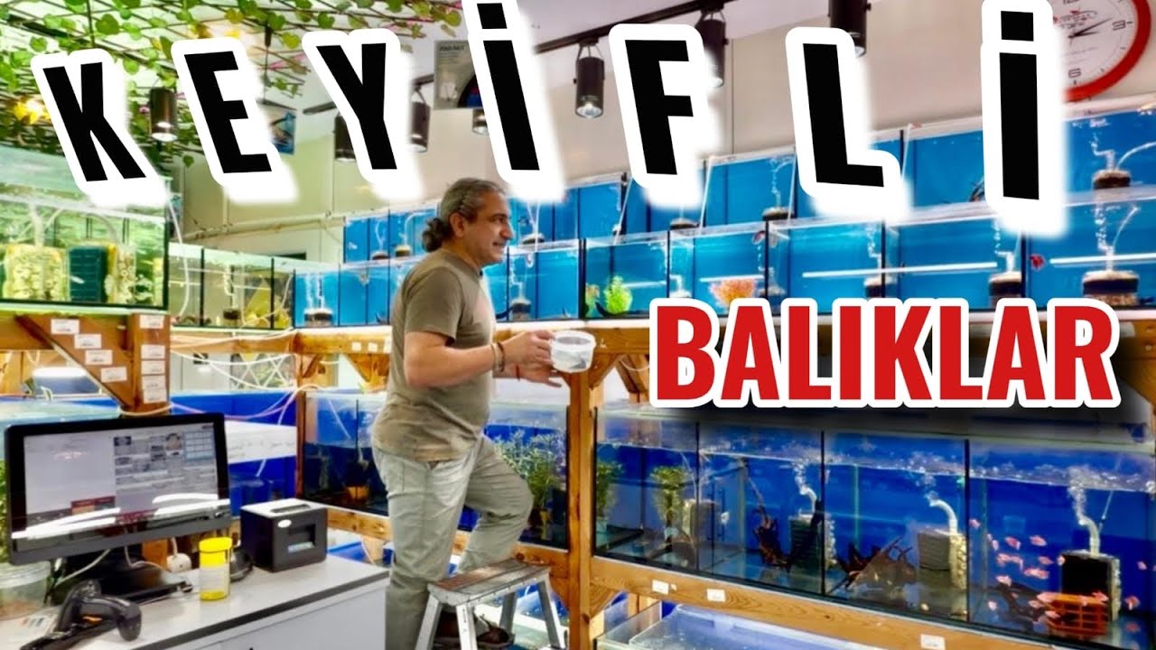 BESLENMESİ EN KEYİFLİ BALIKLAR, akvaryum balıkları