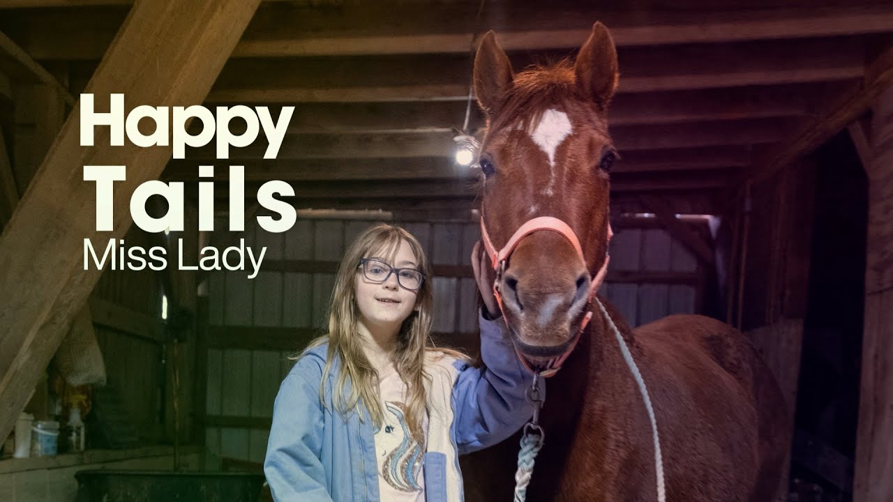 How a Young Girl Discovered an Older Right Horse for Her Journey