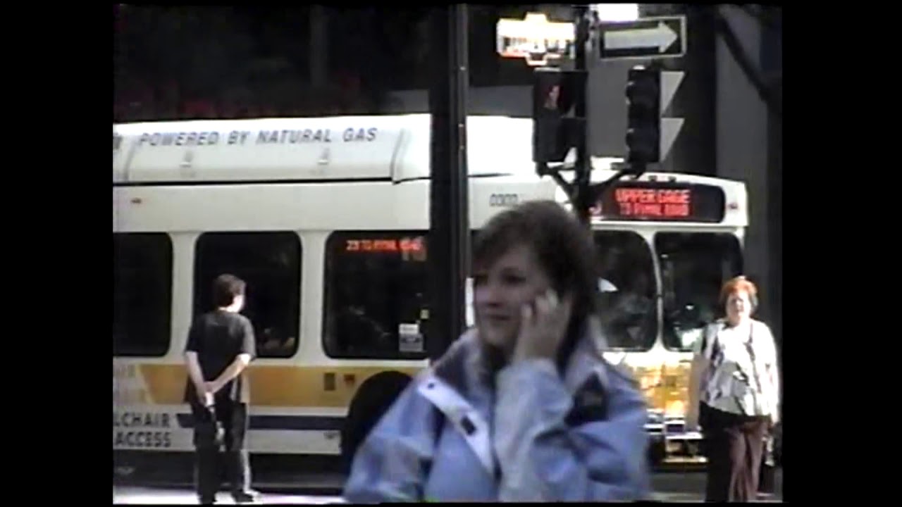 Hamilton Buses - 2008 Edition