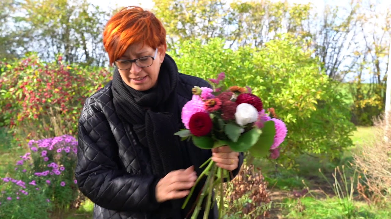 Buket fra haven 22. oktober 2018. Buket 1 ud af 3. Arranging garden flowers.
