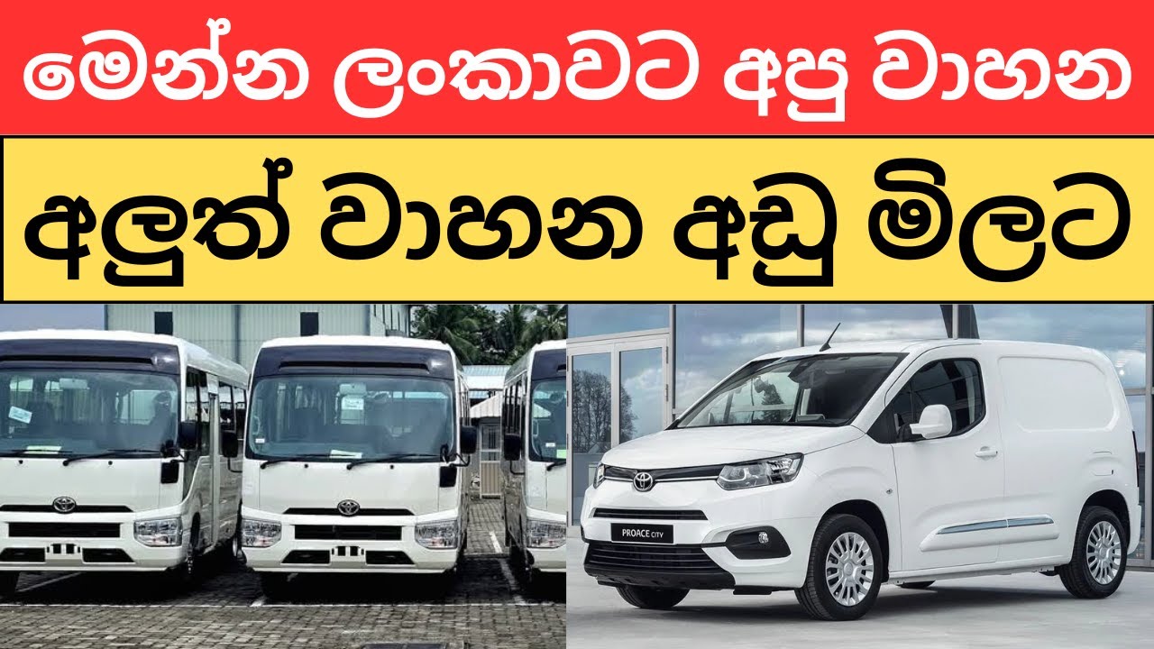 🇱🇰ලංකාවට ආපු BrandNew වාහන සෙට් එක - 2024  New Vehicle Prices In Sri Lanka