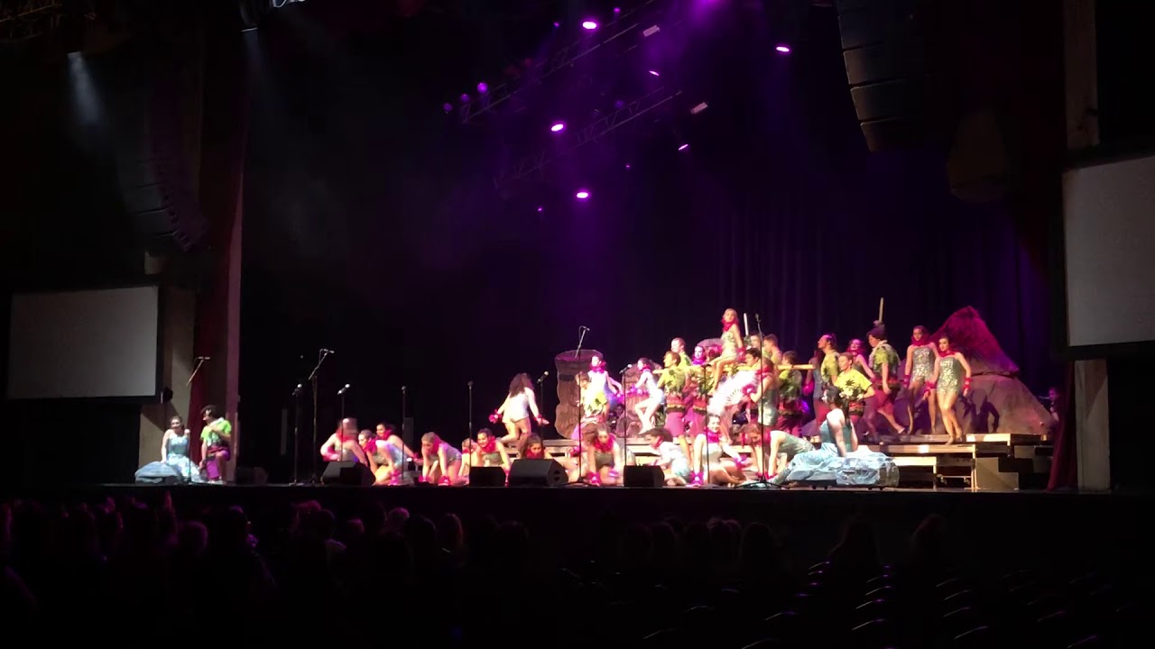 Walsh Jesuit HS Harmony Gold - FAME 2018 (FIRST RUNNER UP)