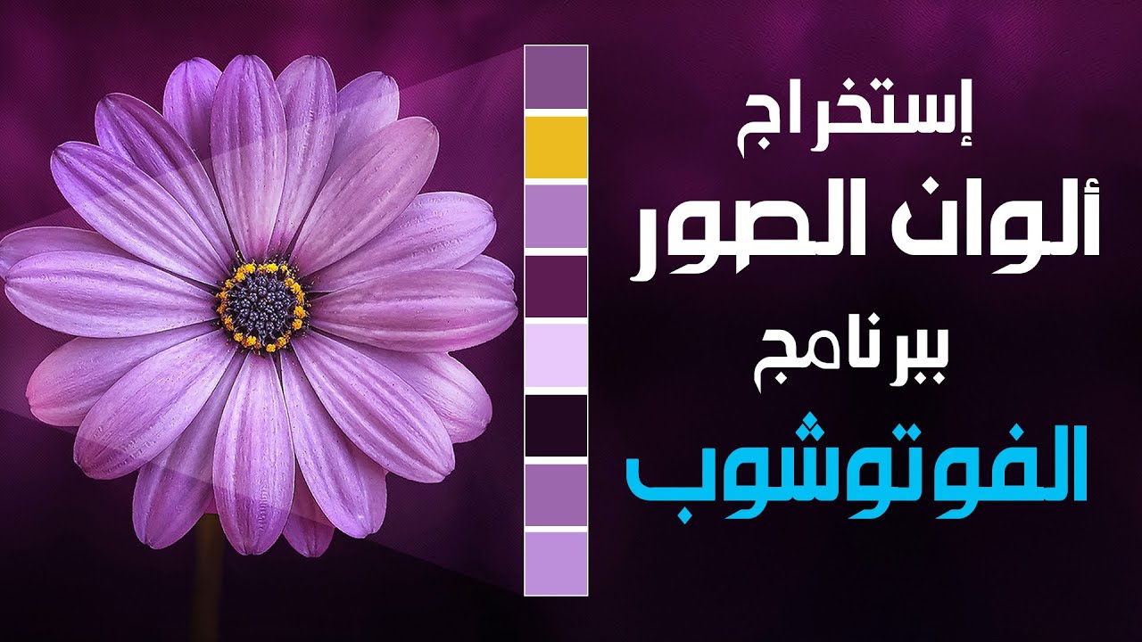 الحل السحري لإستخراج الألوان من الصور وحفظها ببرنامج الفوتوشوب!