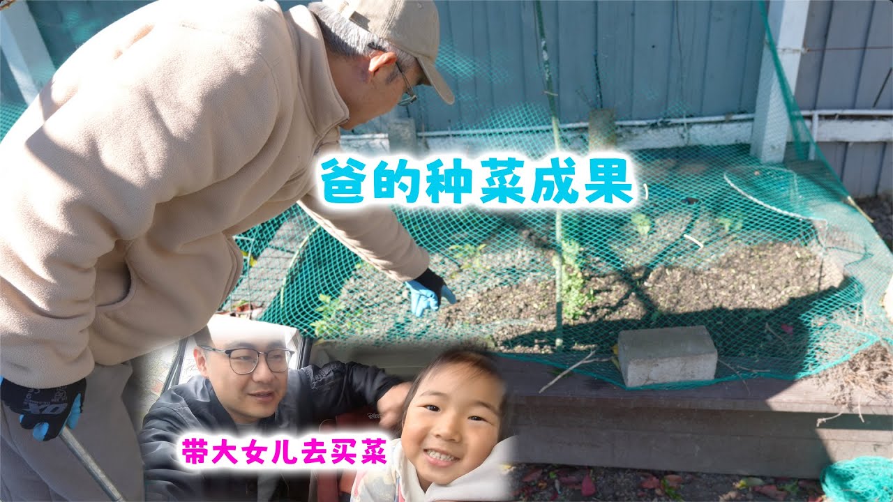 趁二女儿睡觉带大女儿去超市买东西，给大家看看爸种菜的成果（新西兰 Harold Vlog 940）