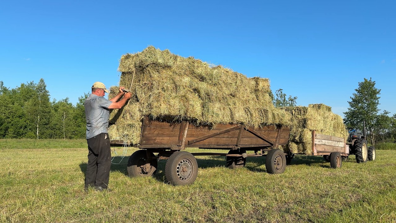 The Smell of Fresh Hay 🌾 Summer Days in a Ukrainian Village