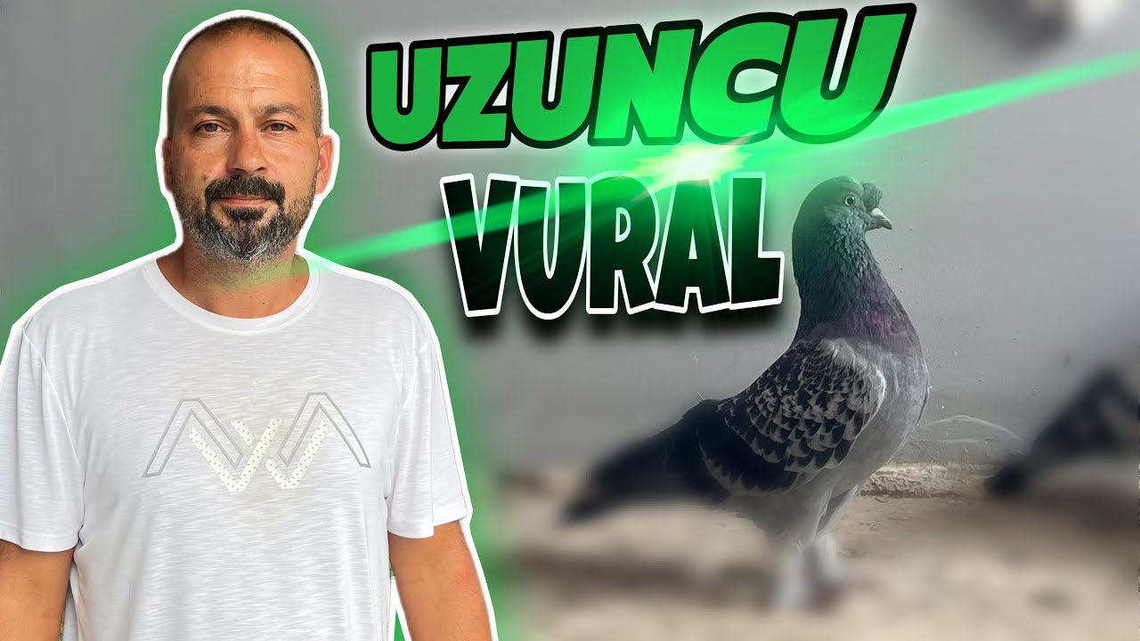 BUNLARI İZLEDİKTEN SONRA BAŞKA KUŞ BESLEYEMİYORUM / Boksör Vural / Samsun / Kümes Ziyareti