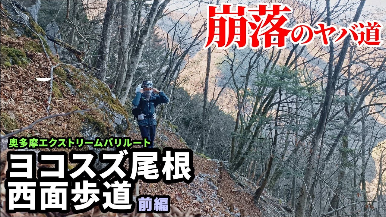 【ヨコスズ尾根西面歩道 前編】奥多摩のヤバいトラバース道