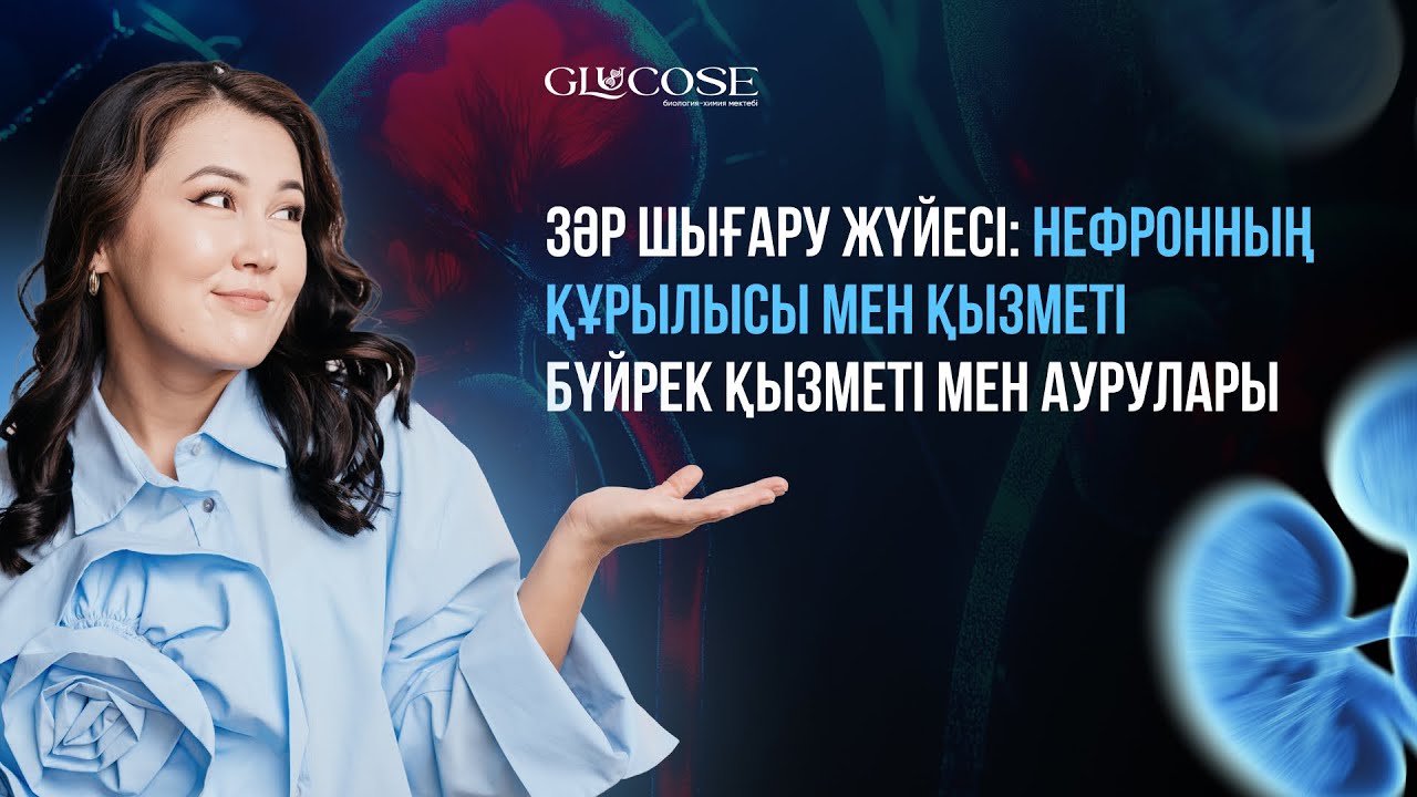 Зәр шығару жүйесі: нефронның құрылысы мен қызметі. Бүйрек қызметі мен аурулары.
