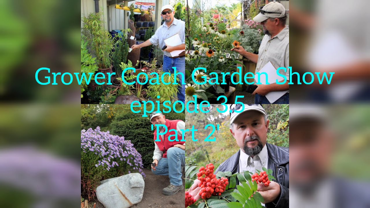 Grower Coach Garden Show episode 3.5 'Part 2' new plants 2021 and bad bugs!