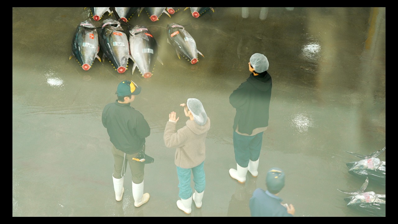 30 Minutes That Feed a Nation | Shiogama Maguro Tuna Auction