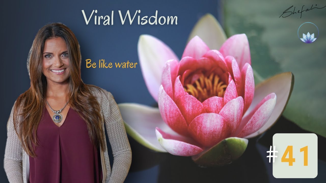 Day 41 Viral Wisdom 5 20 2020