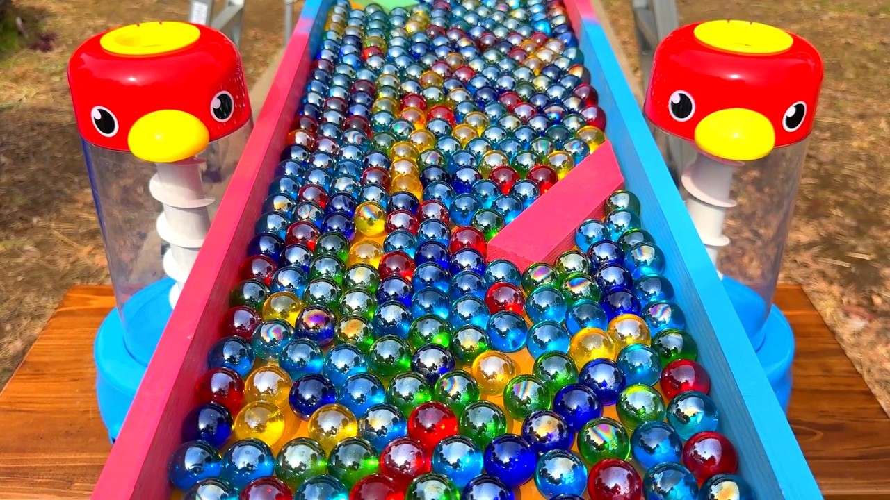 Marble Run ☆ Secret Transparent Pipe Long Course