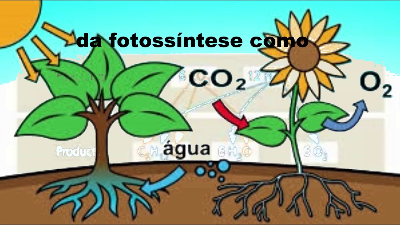 BIOVIDEOoficialdooficial corrigido