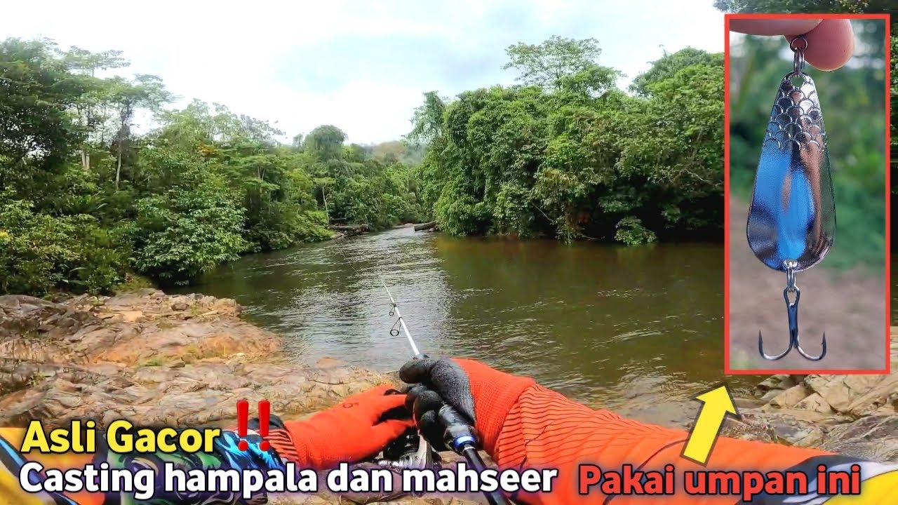 ASLI GACOR ‼️ HAMPALA DAN MAHSEER AUTO TAKLUK PAKAI SPOON INI