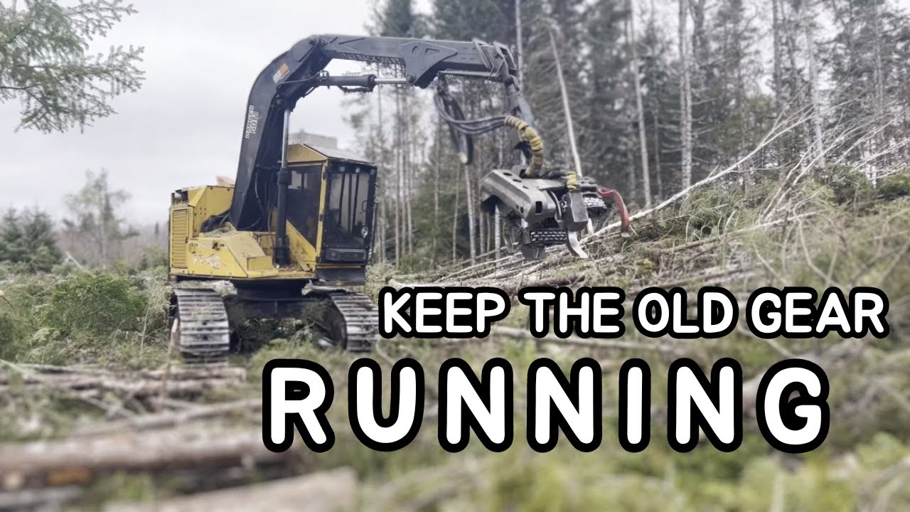 Tough Choices as a Logger | Harvesting Low-Grade Wood in Nova Scotia