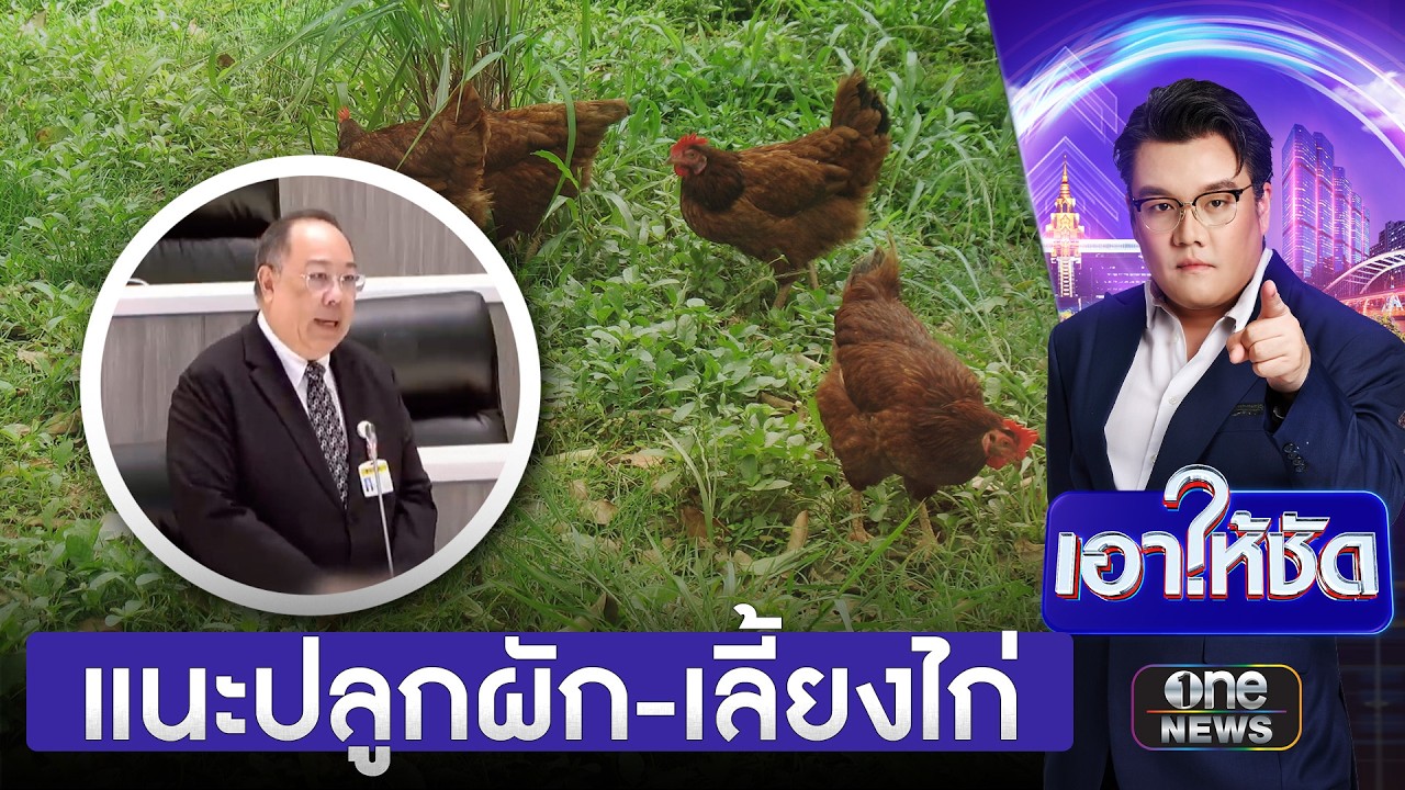 สว.แนะปลูกผัก-เลี้ยงไก่ หากสงครามยืดเยื้อ | เอาให้ชัด | สำนักข่าววันนิวส์