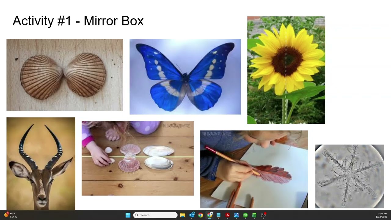 Learning Home Volunteers: Shapes 2026:   Week 1