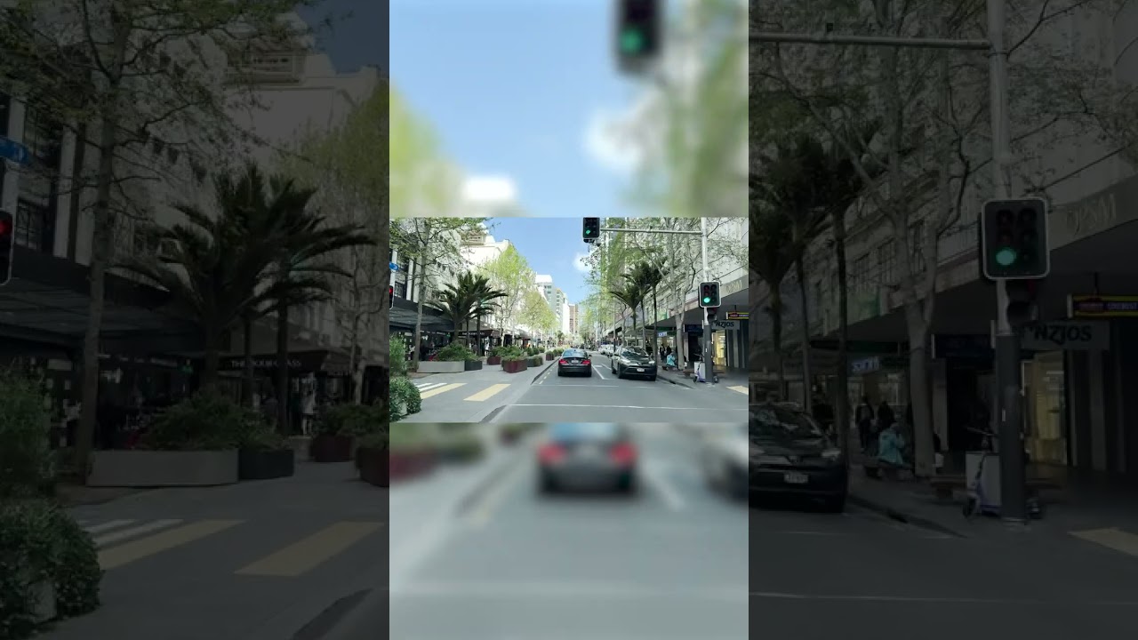 Driving in New Zealand 